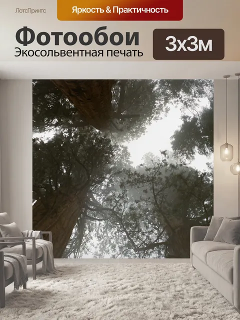 Фотообои Купол дерева