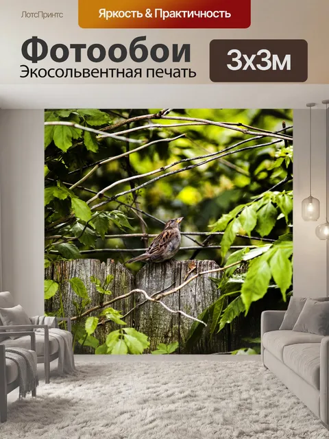 Фотообои Воробей