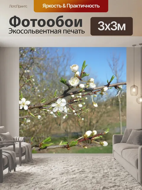 Фотообои Цветущая ветка