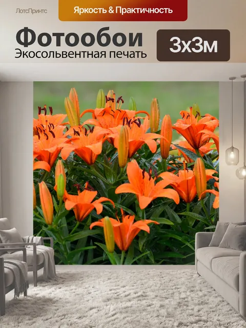 Фотообои Лилии