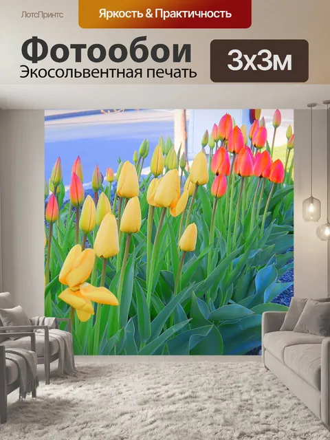 Фотообои Тюльпаны