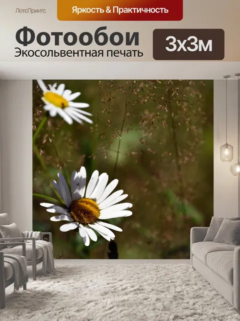Фотообои Ромашка