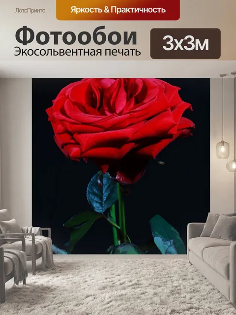Фотообои Цветок