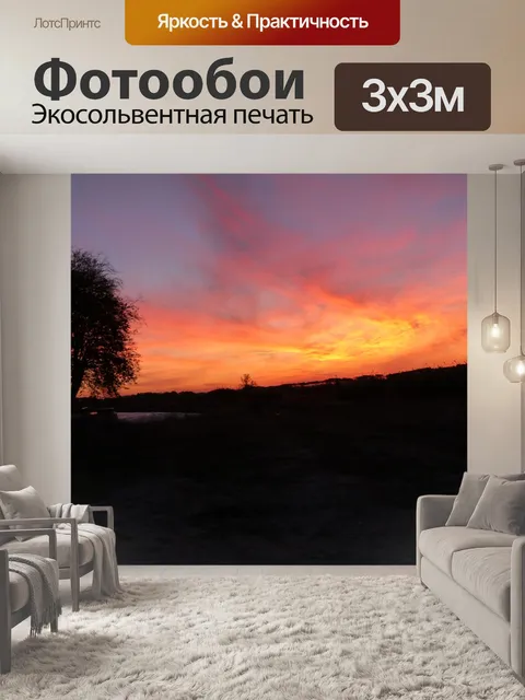 Фотообои Цвет