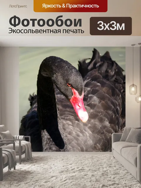 Фотообои Природа