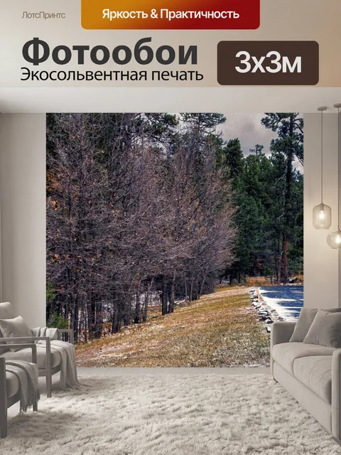 Фотообои Сноу-Слайд Шоссе в падении