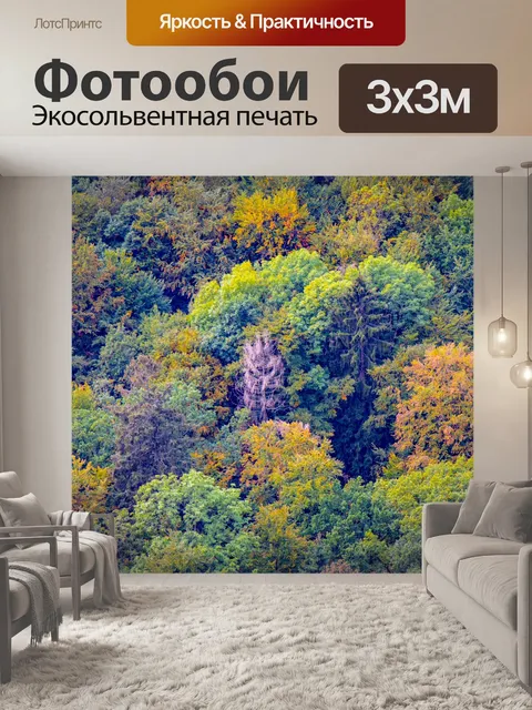 Фотообои Лес