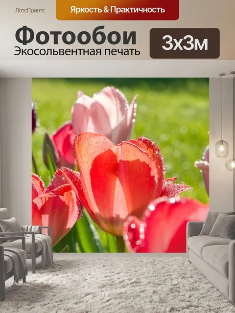 Фотообои Тюльпаны