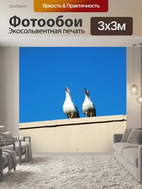 Фотообои Чайки