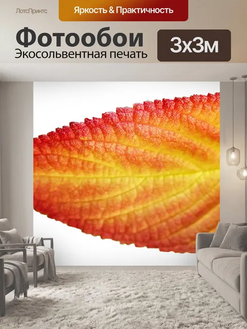 Фотообои Лист