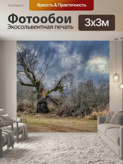 Фотообои Дерево