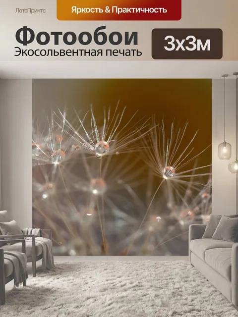 Фотообои Одуванчик