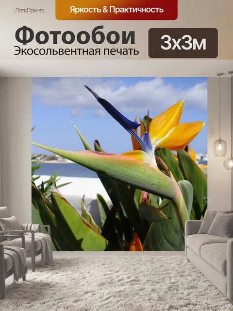 Фотообои Цветок