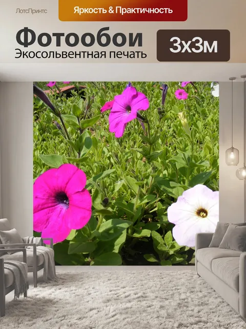 Фотообои Цветы