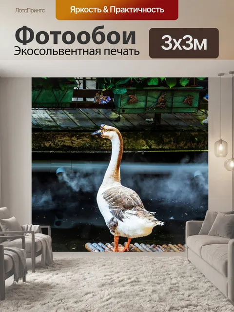 Фотообои Гусь