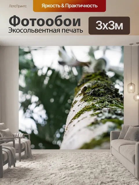 Фотообои Дерево