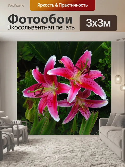 Фотообои Цветы