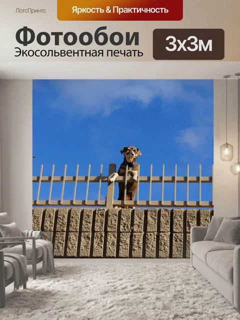 Фотообои Лай собаки