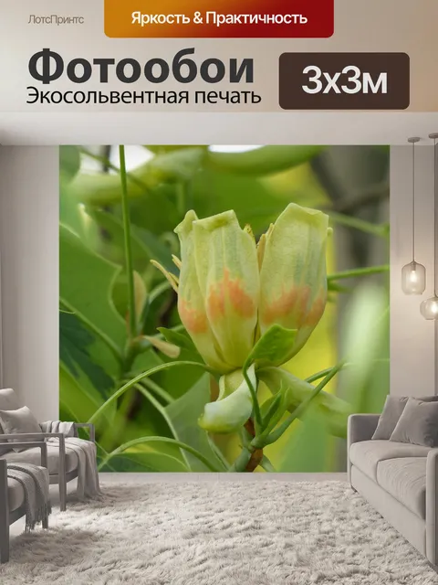 Фотообои Природа