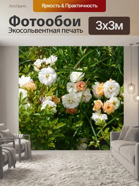 Фотообои Розы