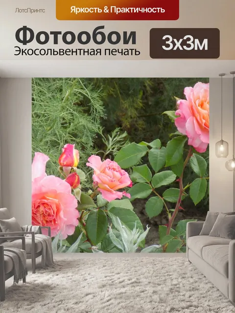 Фотообои Розы