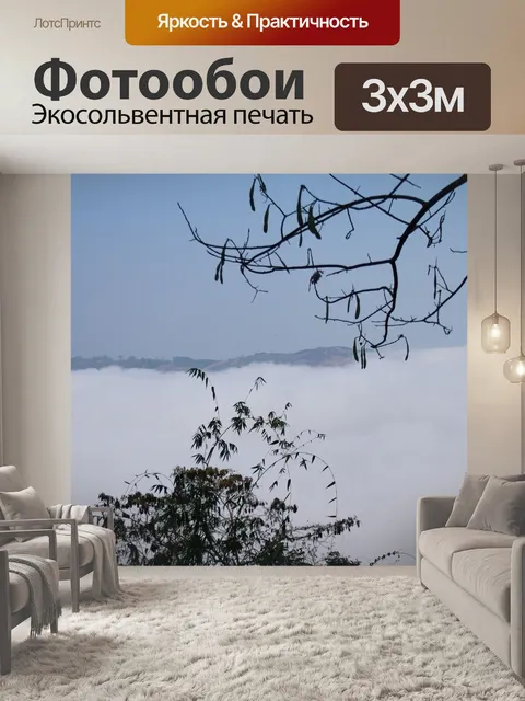 Фотообои Роса