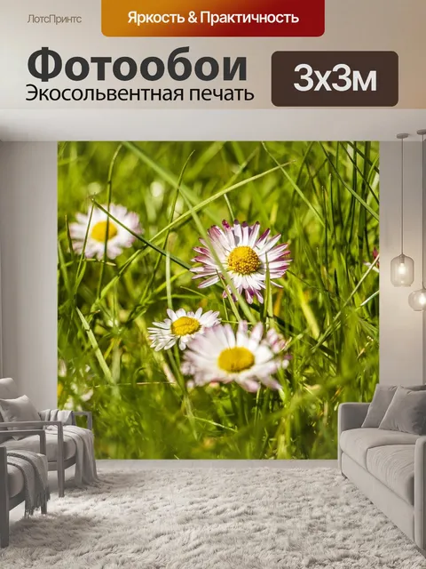 Фотообои Ромашки