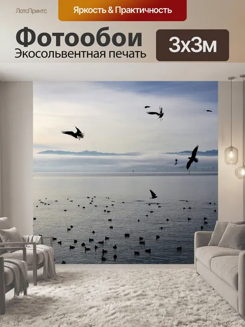 Фотообои Птицы