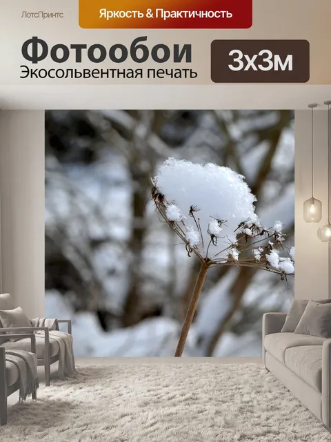 Фотообои Зима