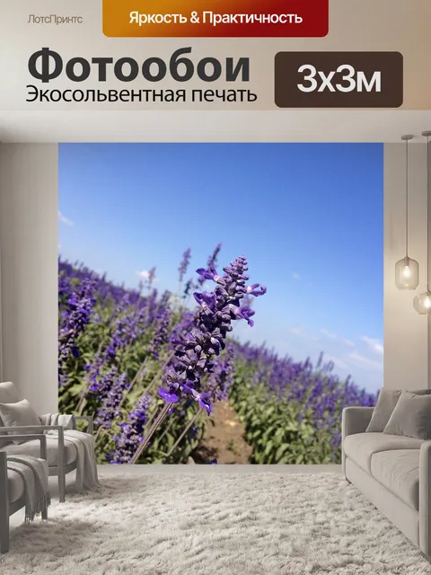 Фотообои Лаванда
