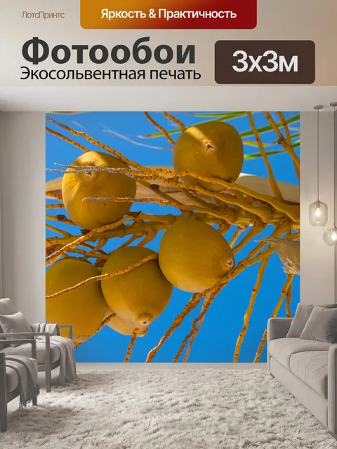 Фотообои выращивание кокосовых орехов