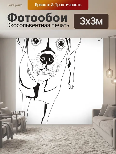 Фотообои Собака