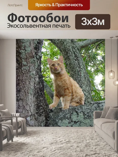 Фотообои Природа