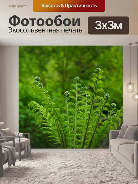 Фотообои папоротник