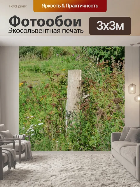 Фотообои Забор природа