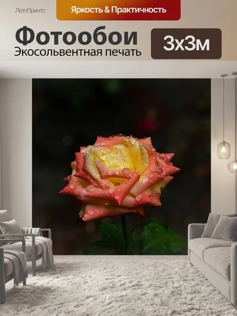 Фотообои Цвет