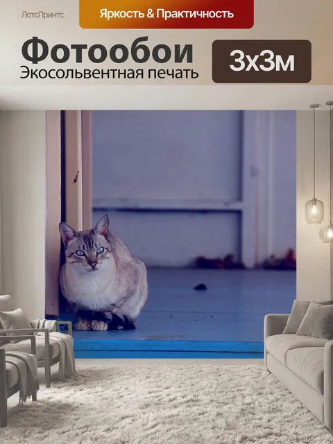 Фотообои Кошка