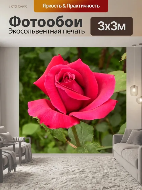 Фотообои Розы