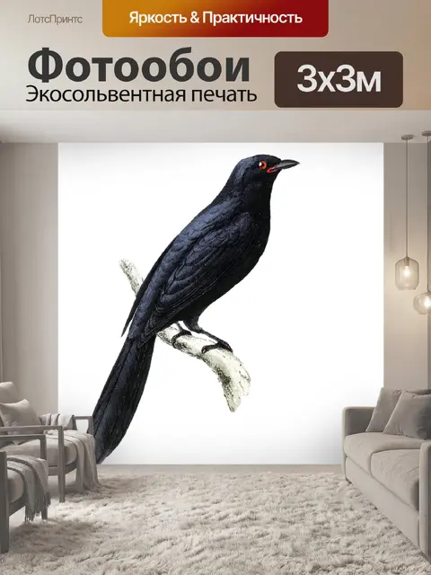 Фотообои Птица