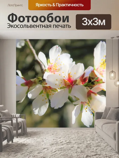 Фотообои Цветы