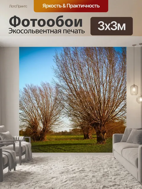 Фотообои Пейзаж