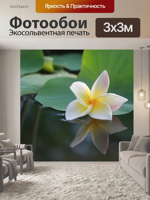 Фотообои Цветок