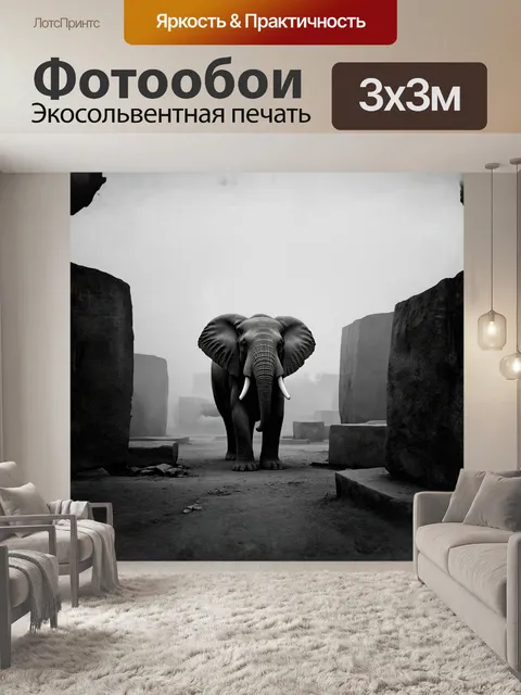 Фотообои слон в чёрно-белом тумане