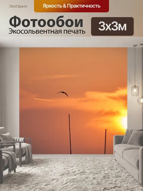 Фотообои Чайка