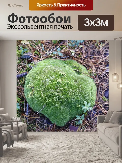 Фотообои Мох