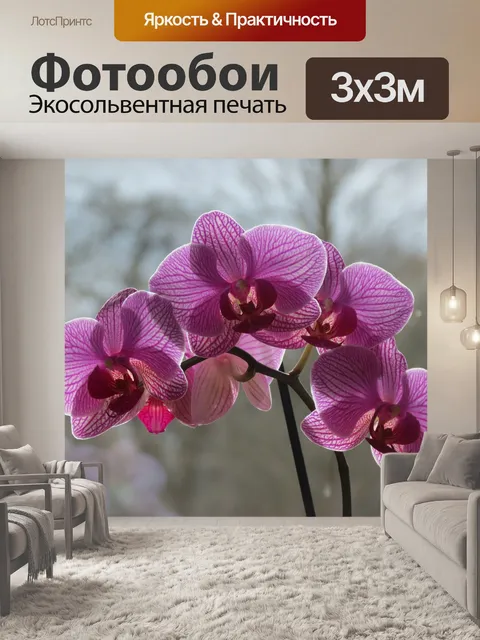 Фотообои Орхидеи