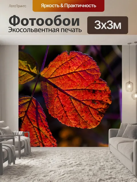 Фотообои Осень