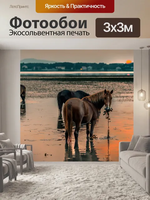Фотообои Дикие лошади