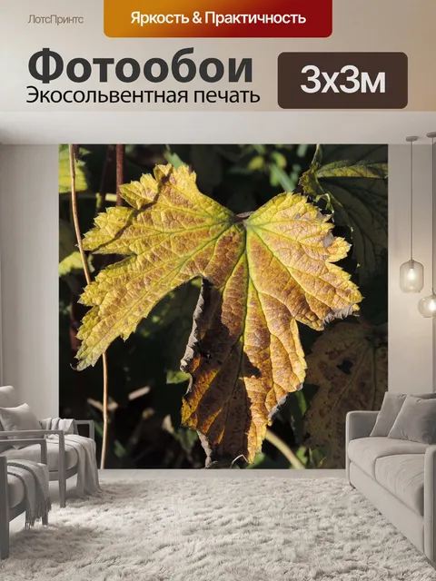 Фотообои Листья