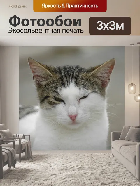 Фотообои Кошка